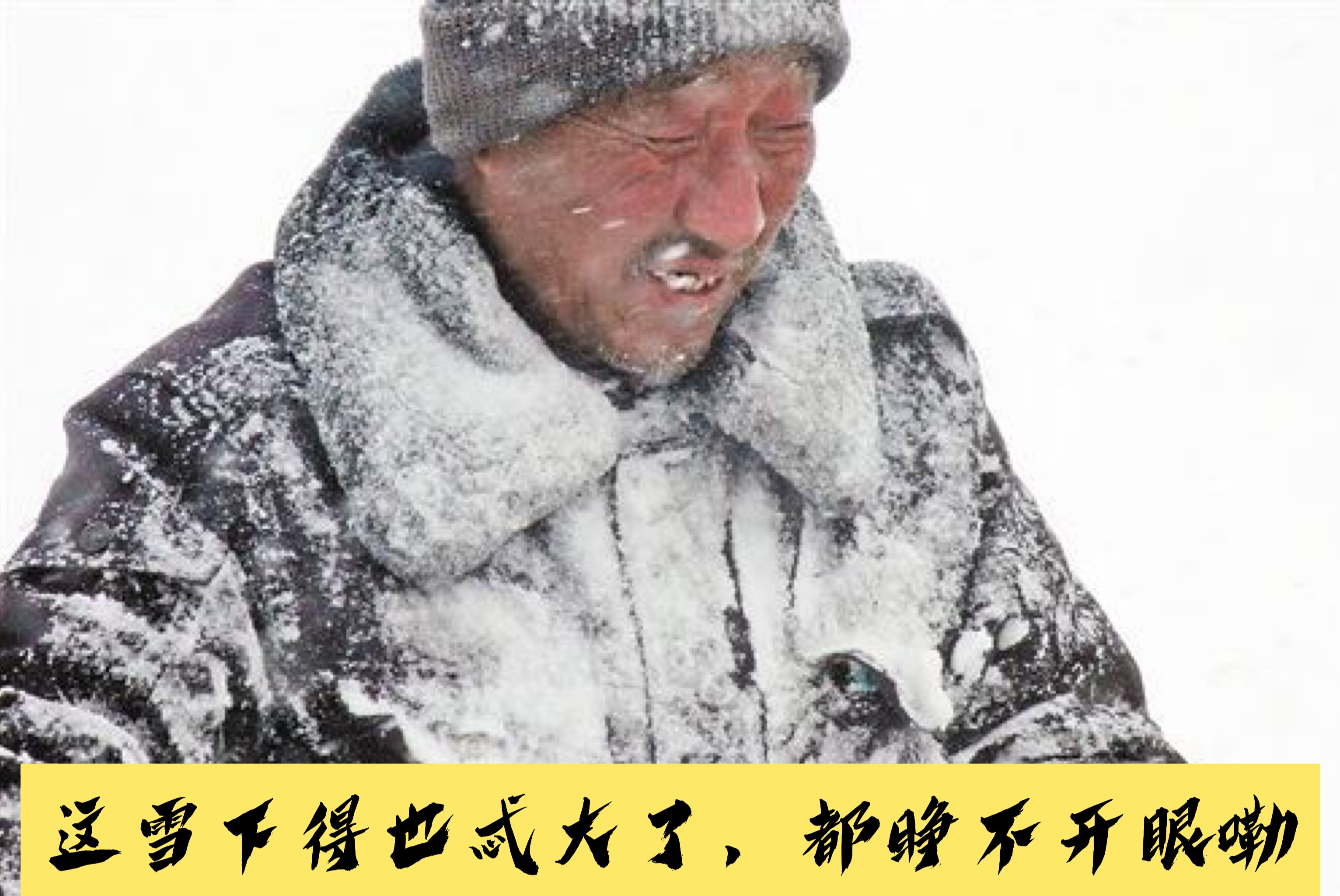 寒冷的冬季,国内旅游出行目的地也出现了两极分化的局面:北方人穿背心