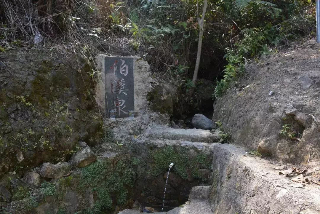 韩山师范学院考察队到上饶西片古道,麒麟岭古道实地考察!