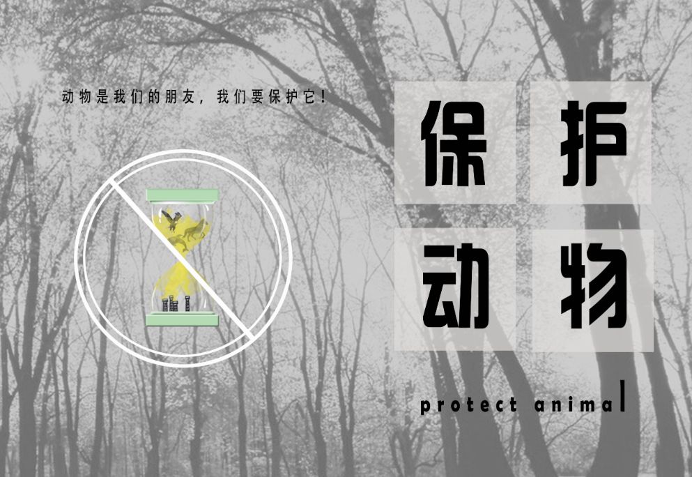 预告保护动物61爱护环境61守护我们共同的家园主题公益演讲