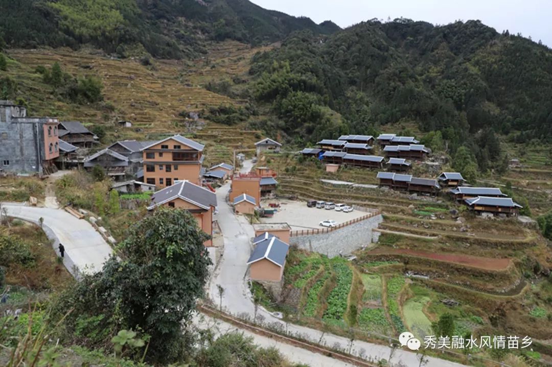 脱贫攻坚丨四荣荣地村以脱贫攻坚成果引领推动乡村振兴
