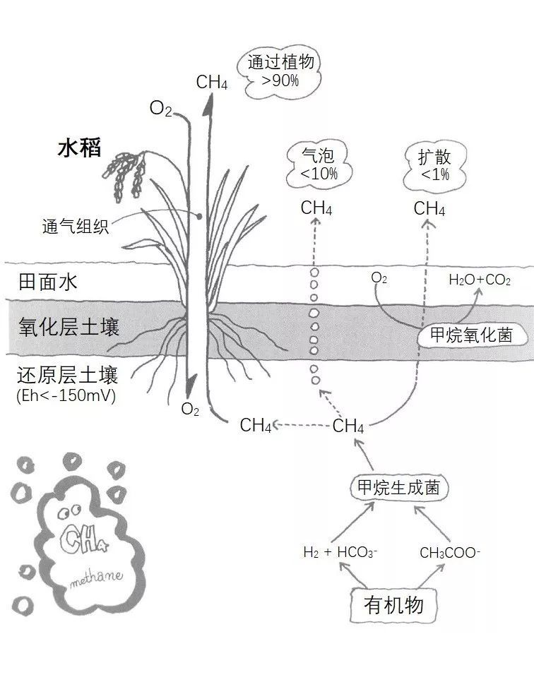 甲烷电子式形成过程图片