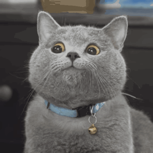 龙首商业街奔驰锅底解决吃火锅的终极烦恼78元购门市