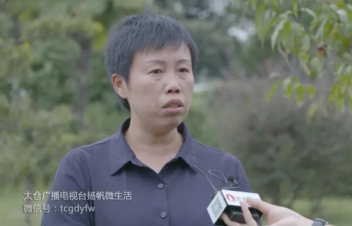 玉屏县委常委,宣传部长 姚芬:陆振东三人来了以后