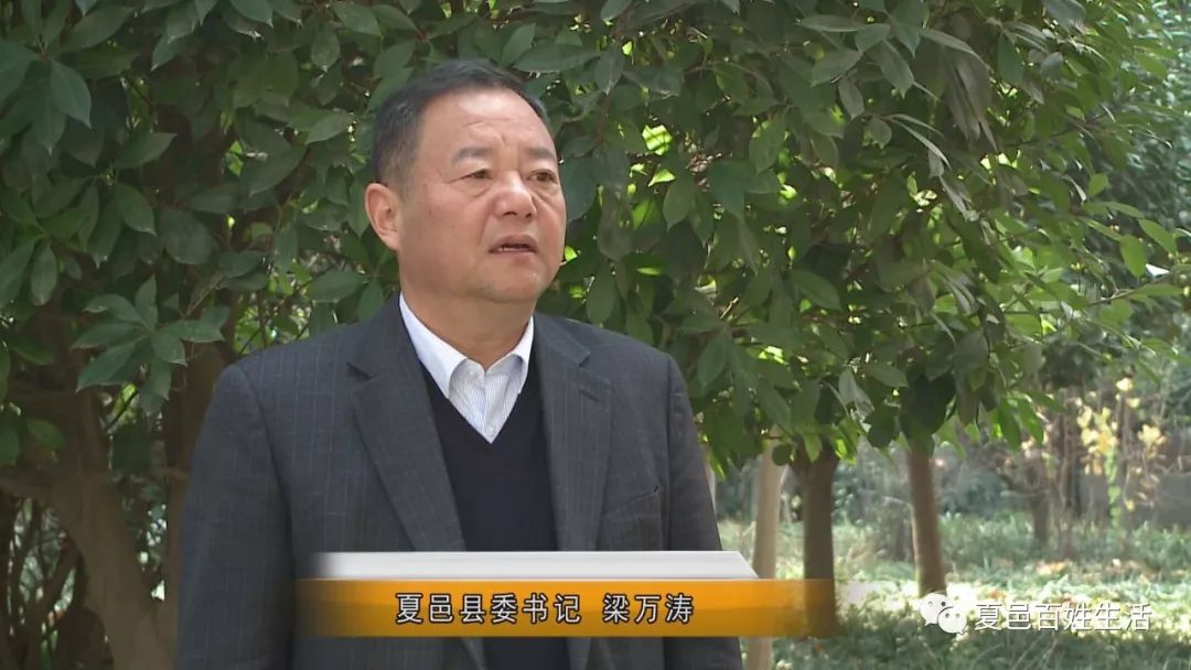 同期声:夏邑县委书记梁万涛(我们围绕"一村一品一户一业"产业扶贫模式