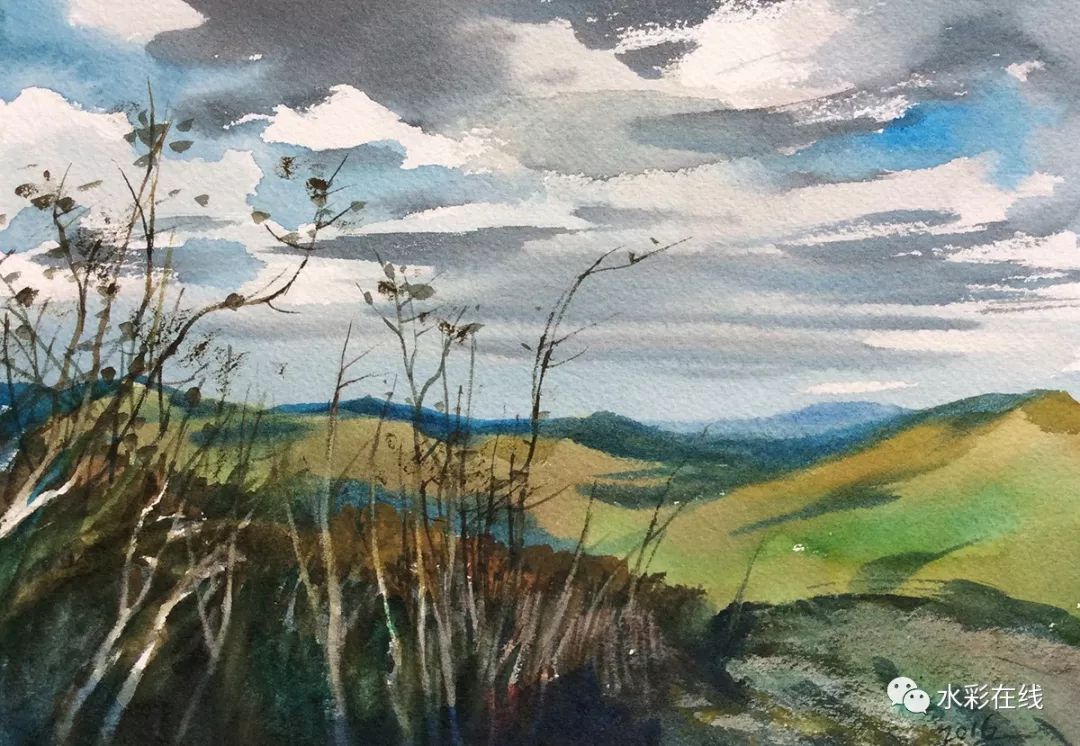 画外片语张小纲