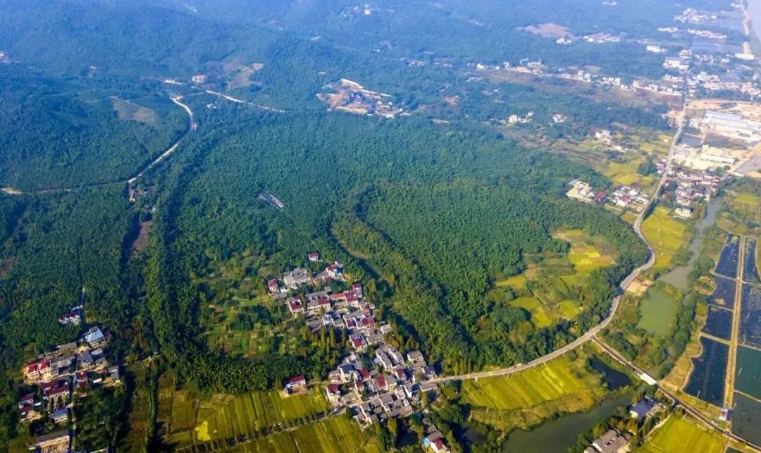 双林后坝村景区图片