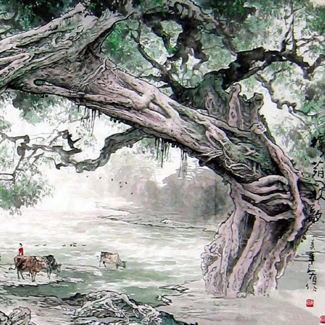 古寨苍榕张立有画榕