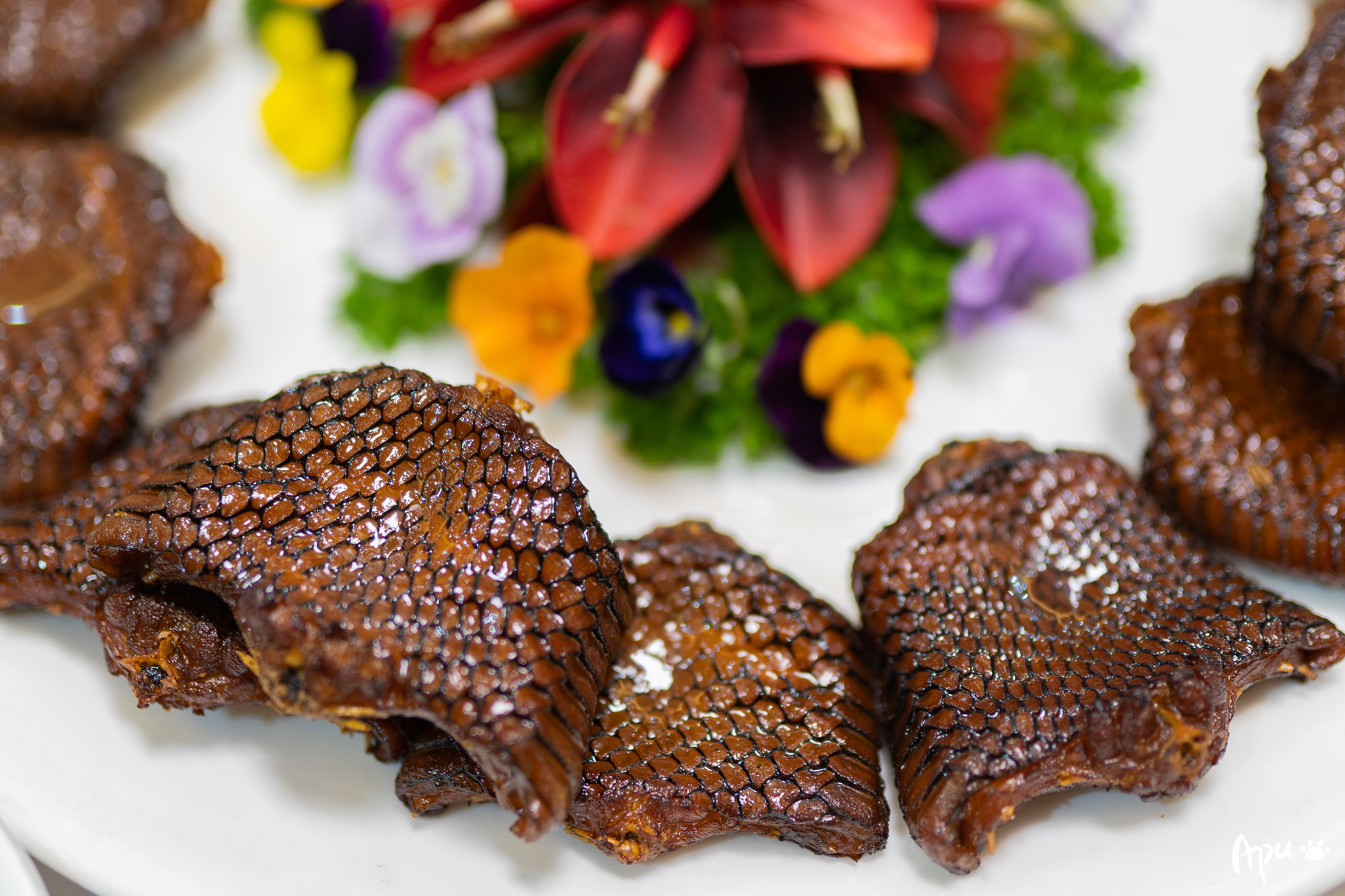 冬至进补蛇肉十二吃你想怎么吃就怎么吃