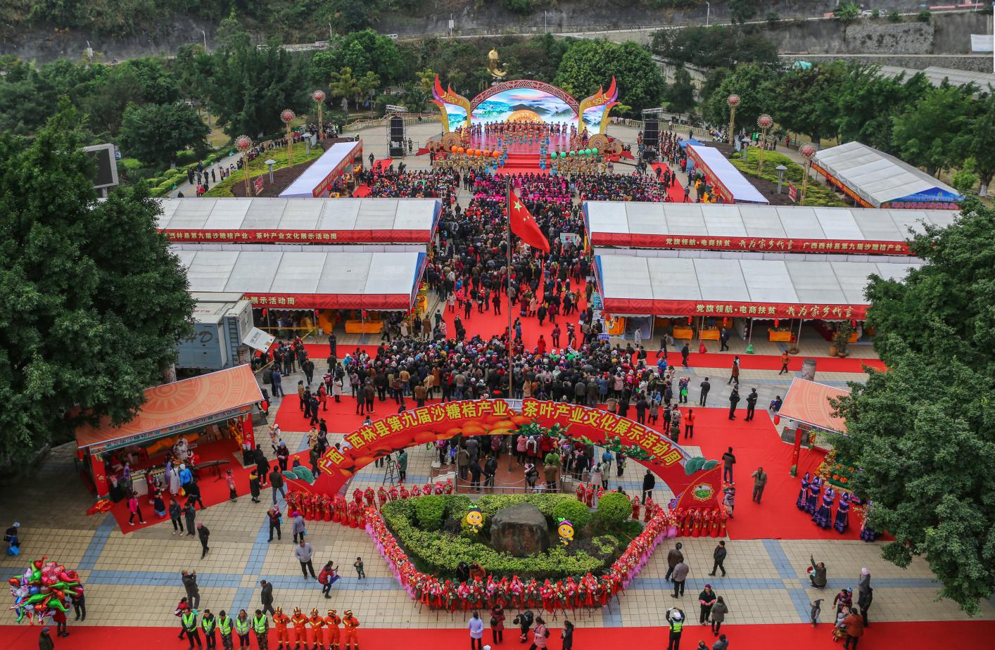 我为家乡代言走进西林沙糖桔认购超亿斤