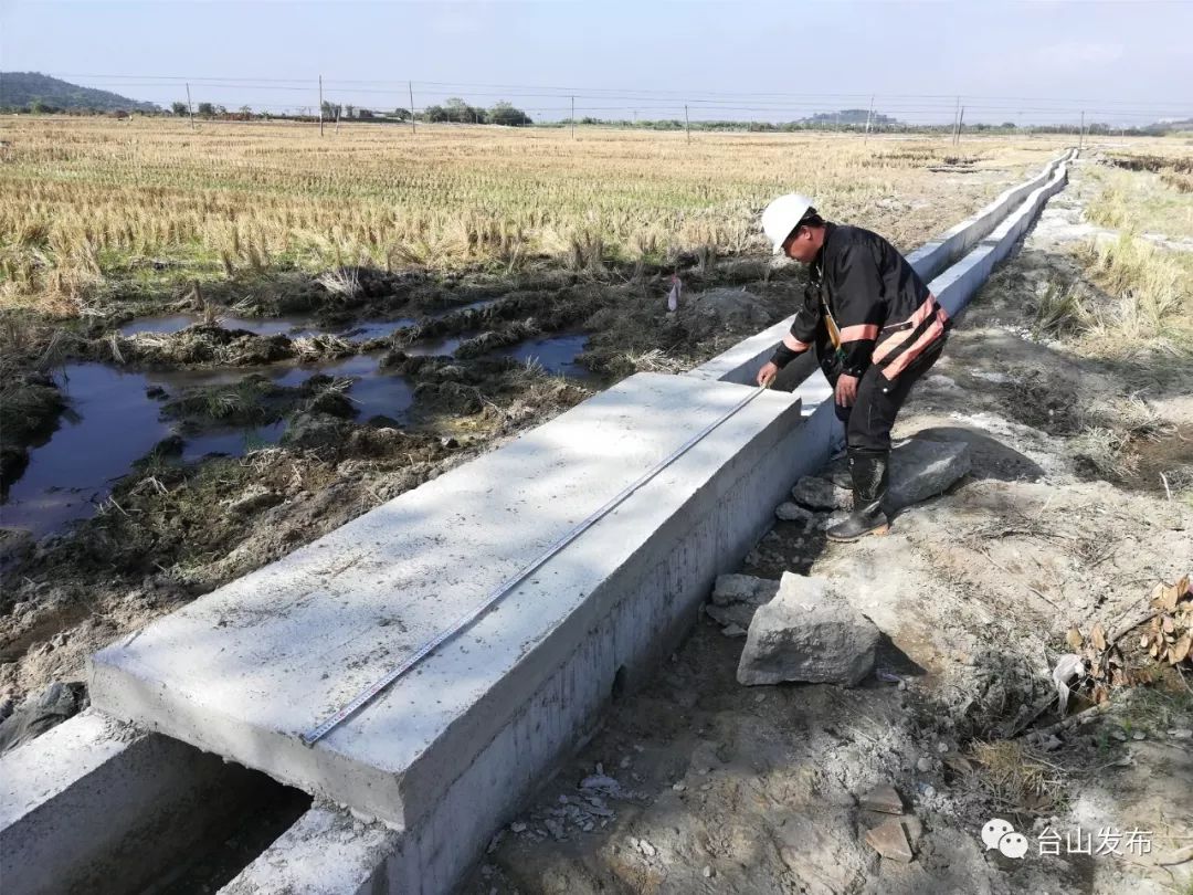 台山這樣加強高標準農田建設確保糧食穩產豐收