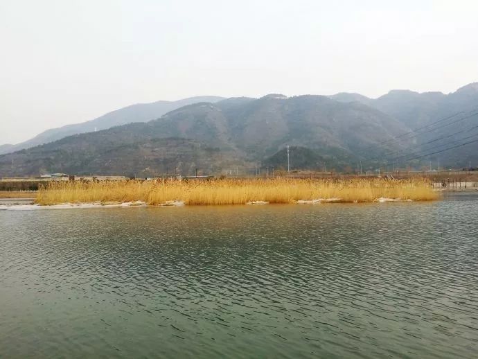王平河图片