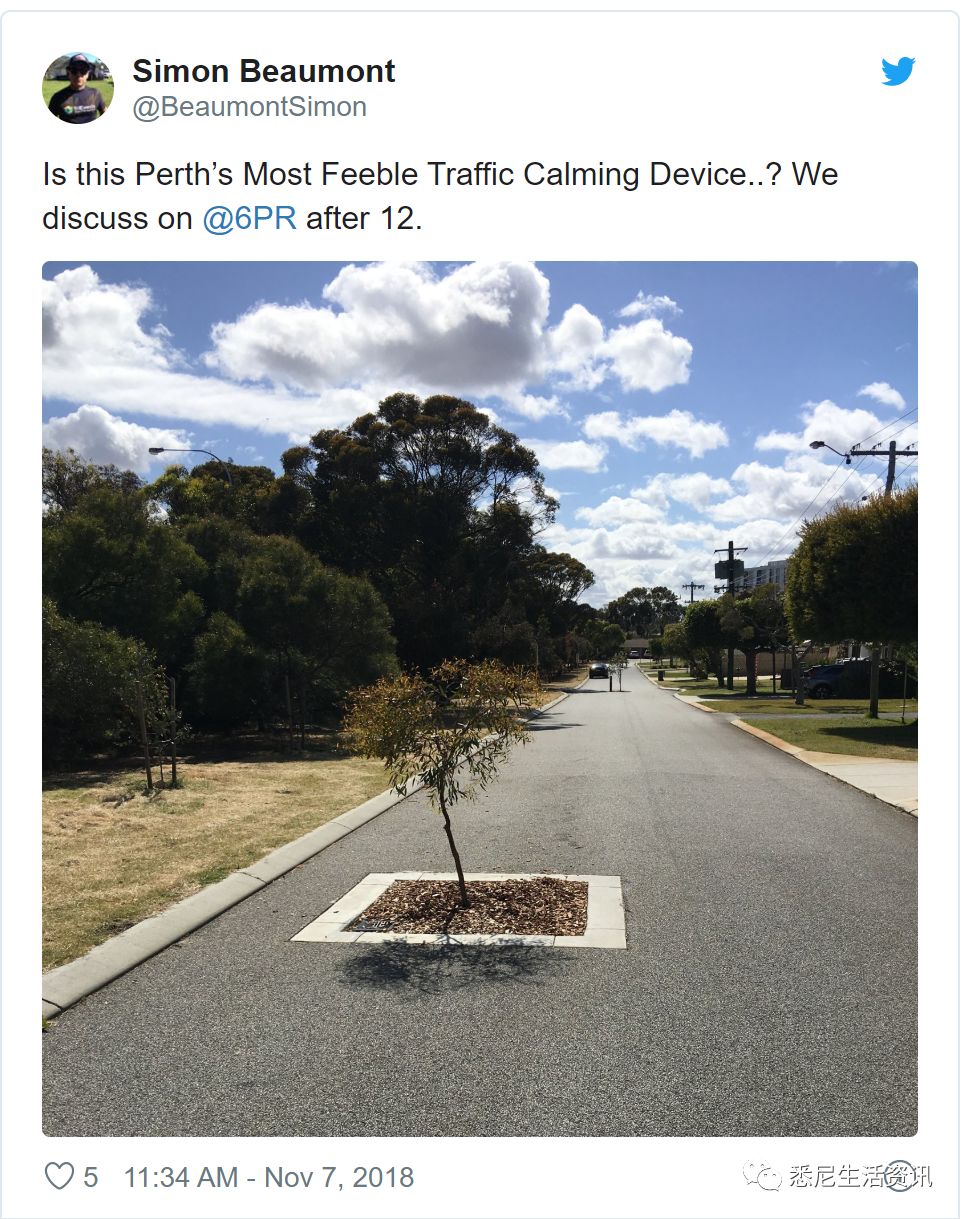 了,同样是在去年,一张拍摄着一颗小树在柏油路中间的照片在网络上疯传