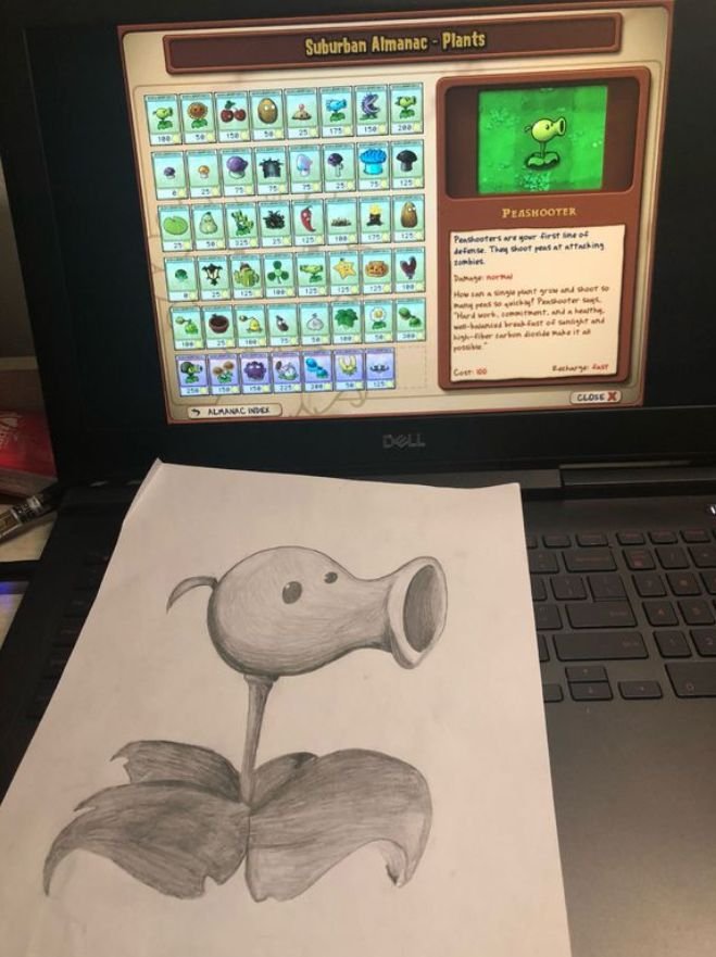 pvz玩家晒豌豆射手素描照另一玩家与他对比后网友笑出声