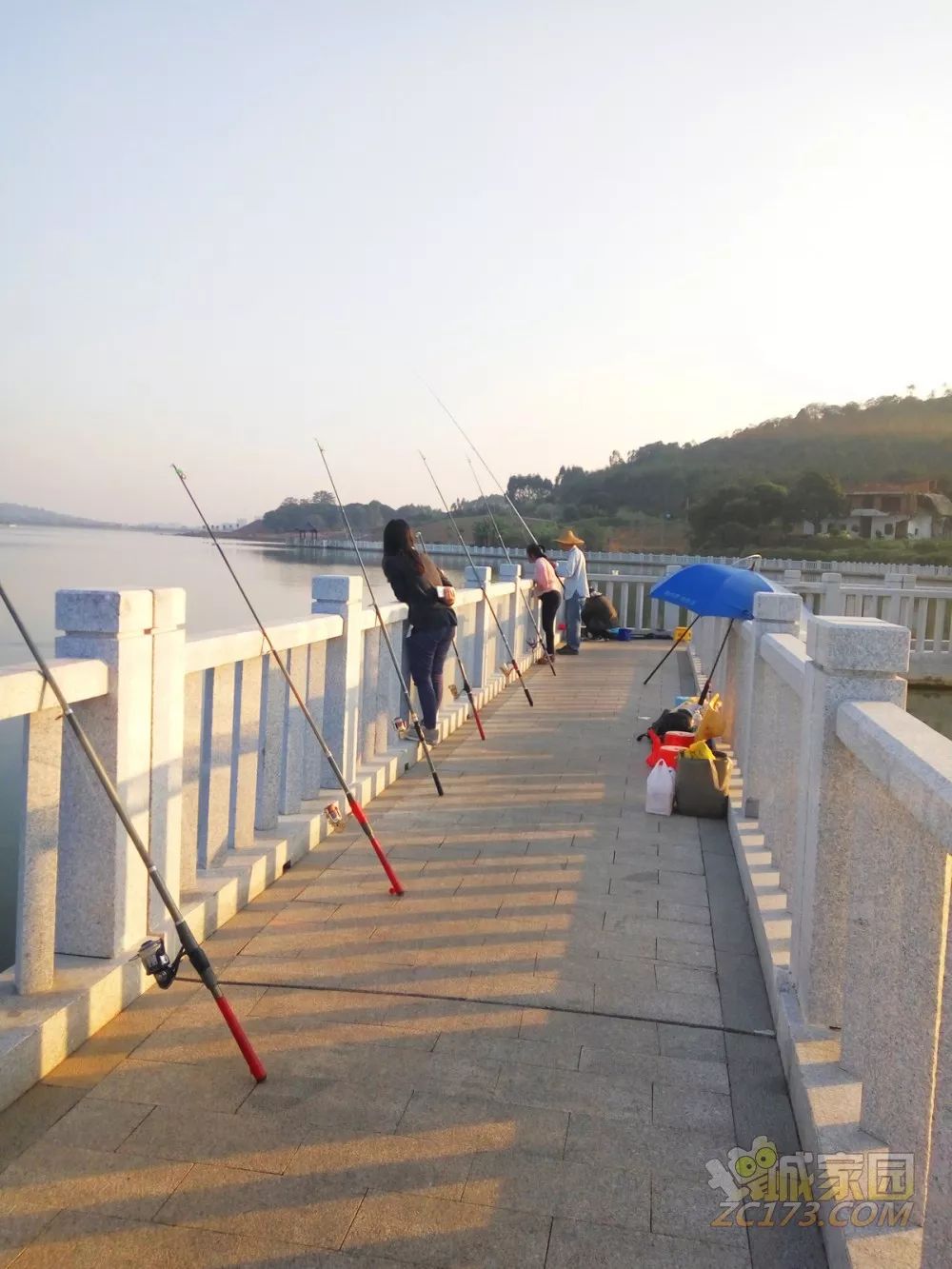 增城挂绿湖这事,究竟是谁干的?