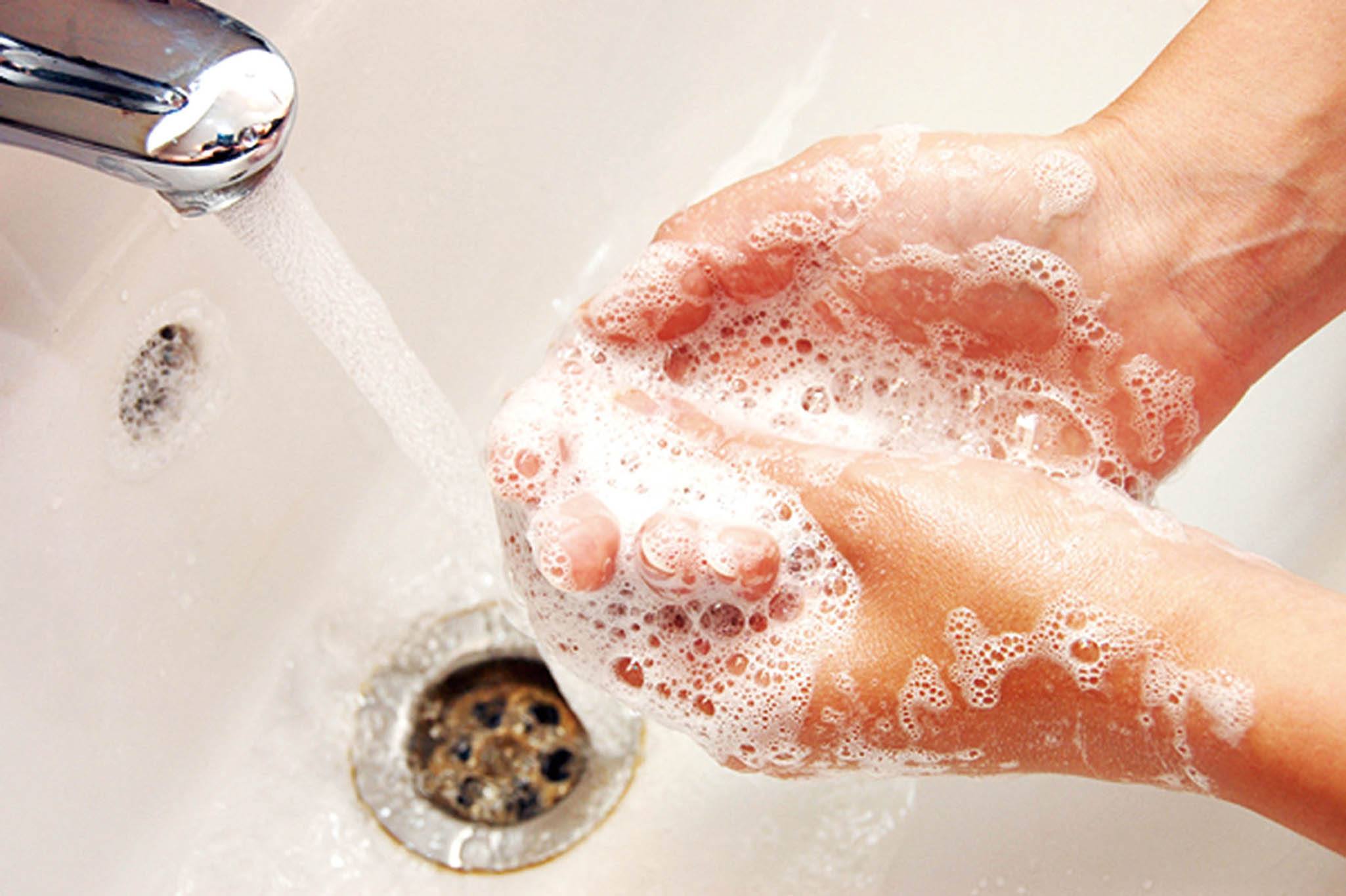 万物有趣| 一次“面包实验”，恶心得让人懂得洗手有多重要_搜狐网