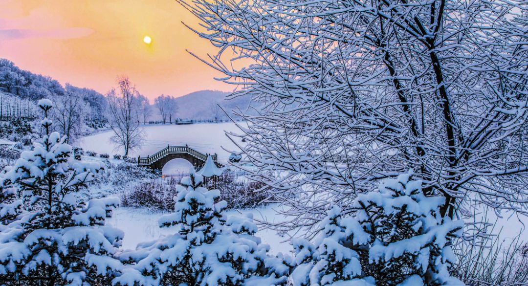 暖了!抓拍丹东冬至雪景