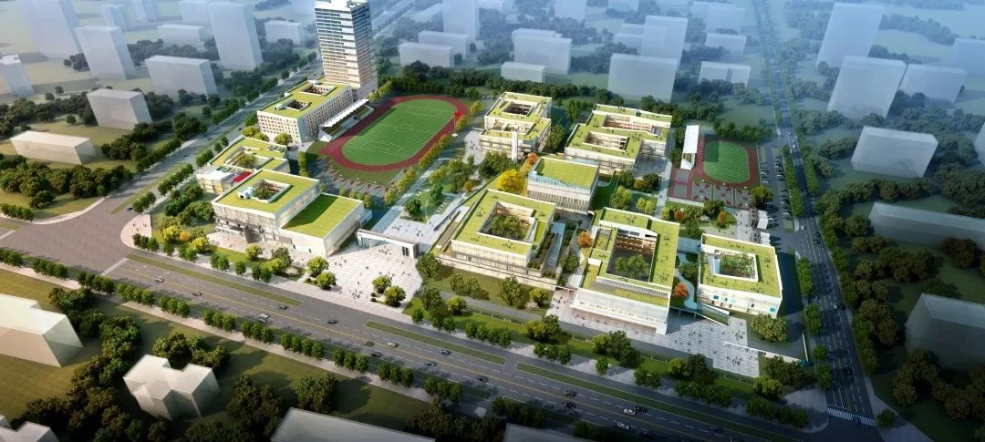 最新交大创新港幼儿园小学咸阳高新存志学校小学计划明年九月开学