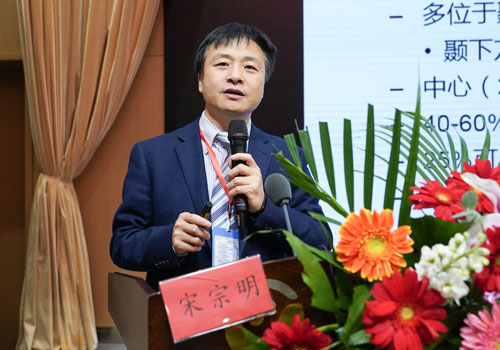 河南省立眼科医院宋宗明教授《视盘小凹黄斑病变的鉴别和诊疗进展》