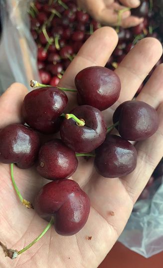 周二特价日省内包邮钻石水果智利车厘子jd果10斤装平安夜超级福利368