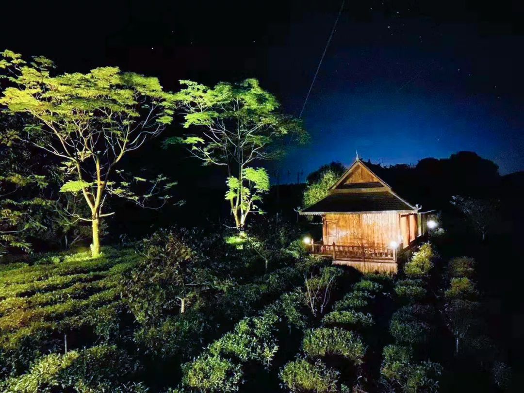 缘聚南糯秘境茶旅雅集茶会