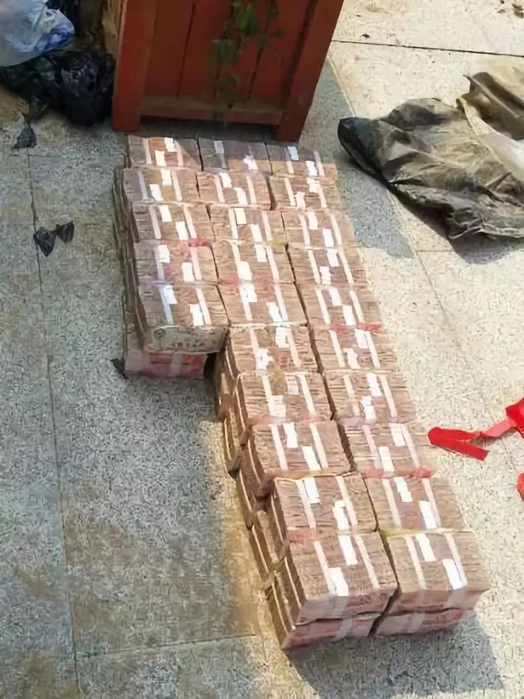 东窗事发花坛埋藏500万元的土皇帝郑州警方扫黑除恶工作纪实