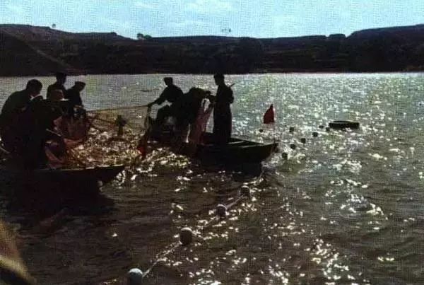 大寨山区已实现了机耕.上世纪六十年代中叶,大寨的冬季农田基本建设.