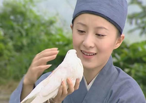 《金粉世家》原著里小怜嫁入豪门:一个丫头都比冷清秋"拎得清"_柳春江