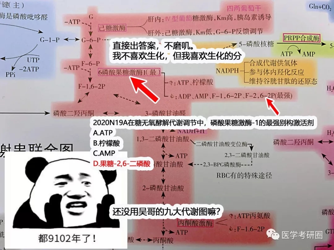 吴在望一张图干翻了西综考研界_代谢