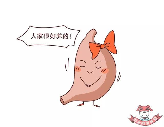 喝粥养胃饼干这么多年你的胃原来是这样被养坏的