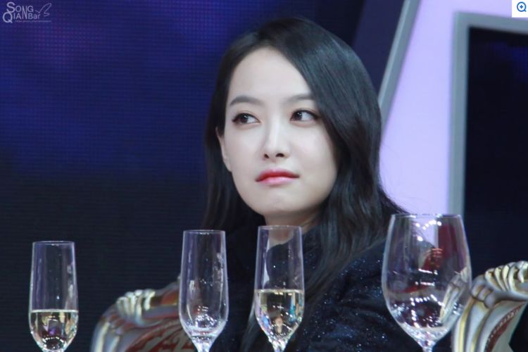 在韩国发展的中国艺人有很多,比如张艺兴,鹿晗,吴亦凡,张力尹等,自从