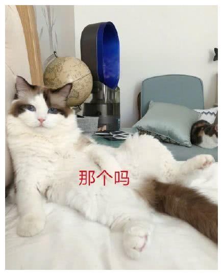 这也太那个了吧@齐大喵:总是和皮筋儿过不去就不怕把自己崩到吗?