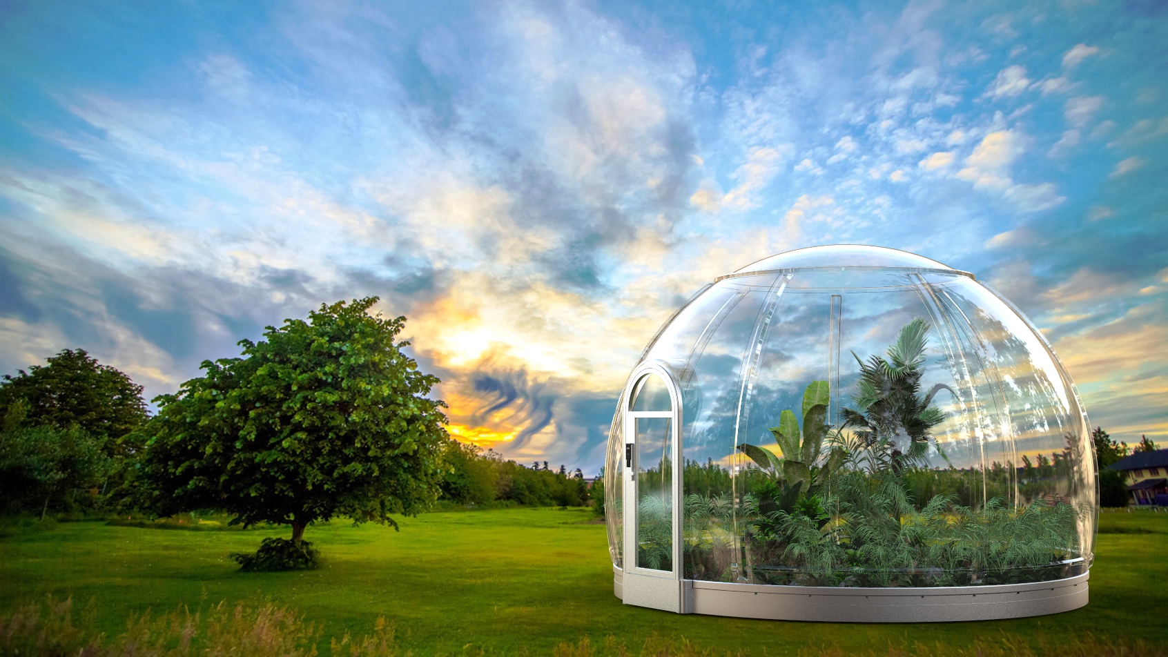 小型生态系统,迷你花房,人生赢家!