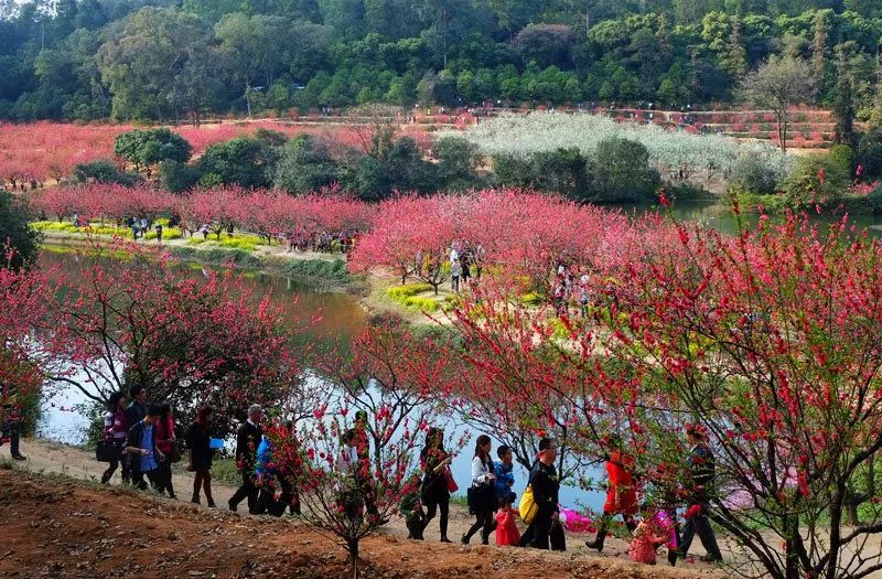 周边景点推荐南海观音寺建于公元990年(即宋太宗淳化五年,距今已有一