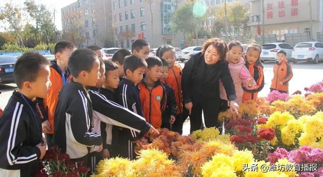 昌樂齊都實(shí)驗(yàn)學(xué)校:你好,2020(圖28) 昌樂齊都實(shí)驗(yàn)學(xué)校:你好,2020(圖28)