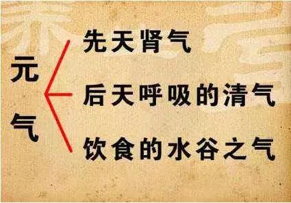 上焦有火,下焦有寒 中医所说的焦,到底是什么呢?