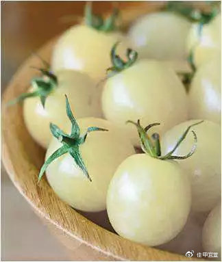 号称美白的白番茄是个什么鬼