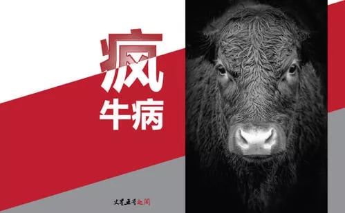 日本和牛将重返中国餐桌_疯牛病