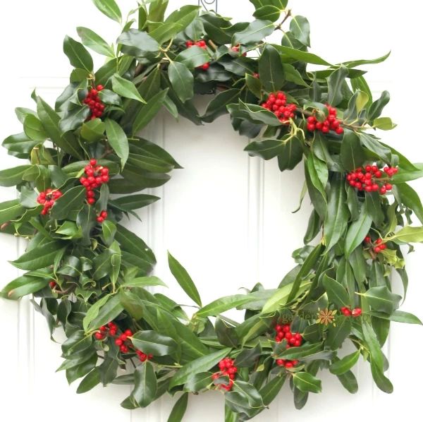 图自:pixabay遥知兄弟登高处,遍插茱萸少一人.