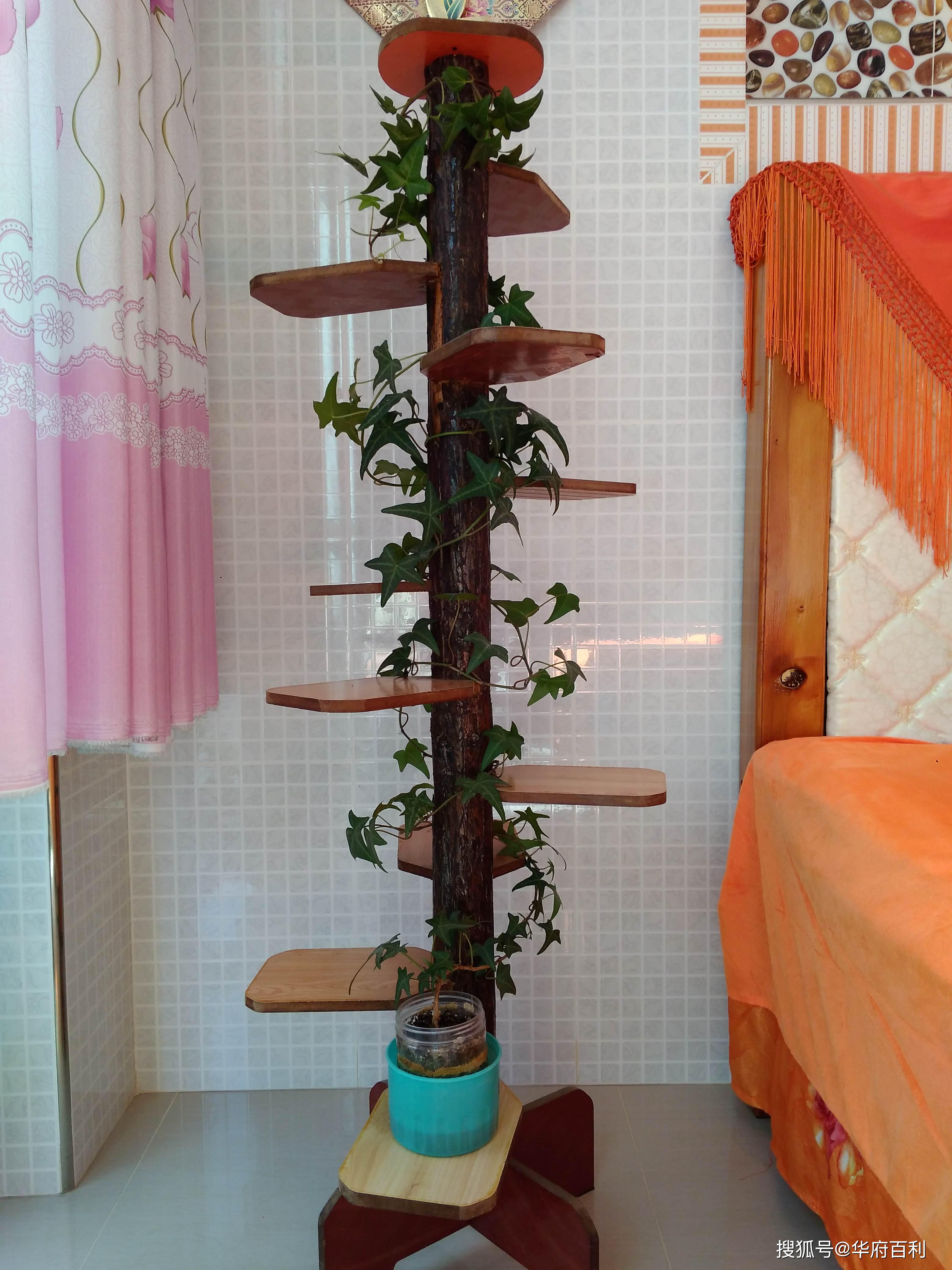 树形植物架