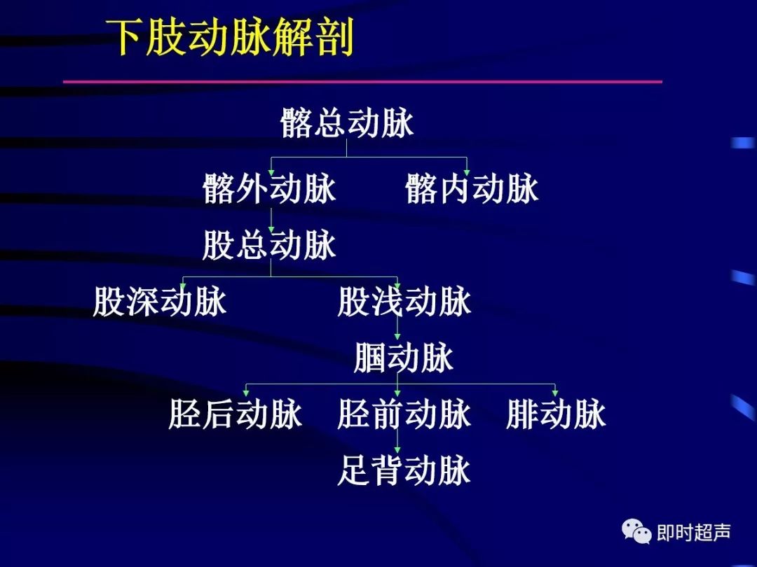 周围血管疾病多普勒超声检查_血流