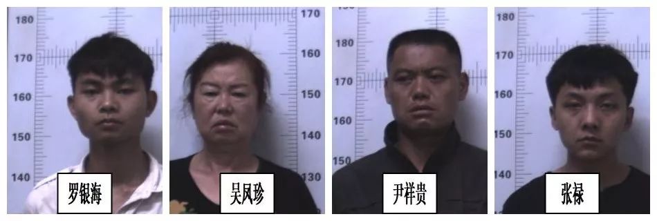 云南省宣威市宝山镇太和村委会许底卡村刘 星 云南省昆明市五华区新闻