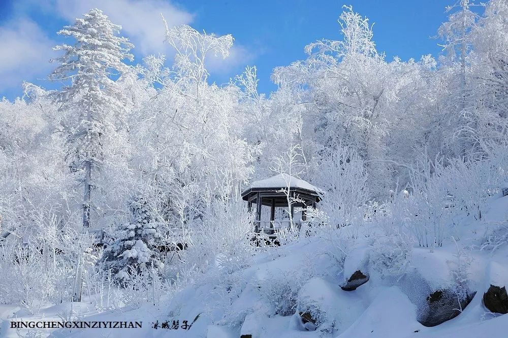 这一刻雪沉静得让人忘记了世间的纷繁