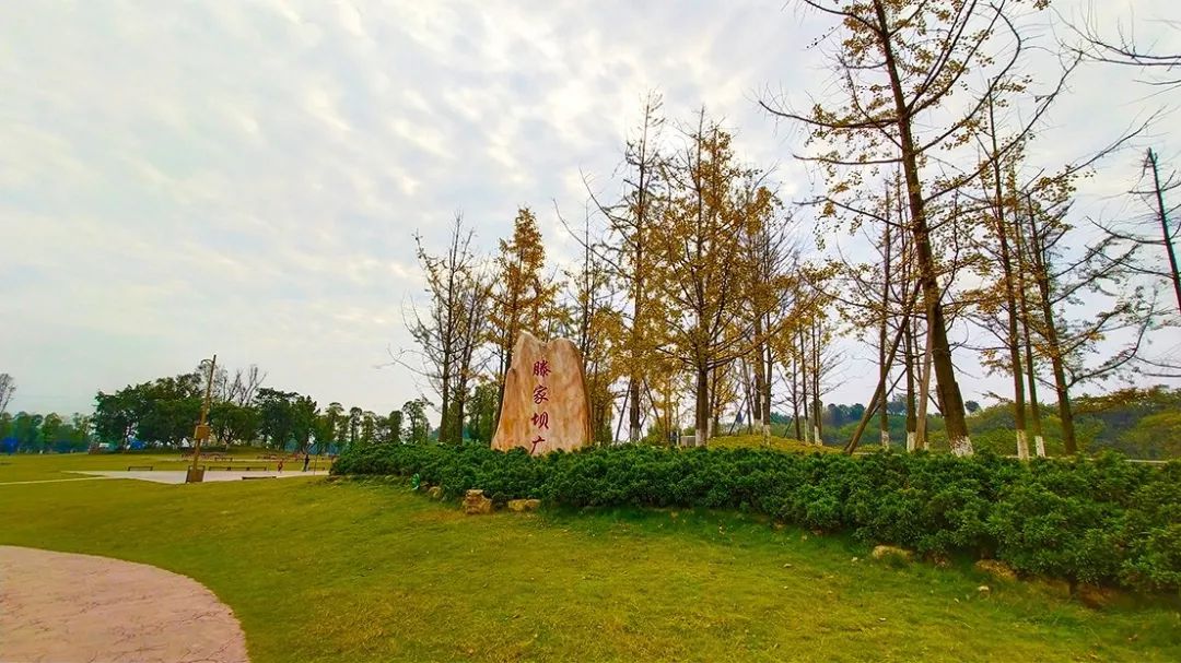 千万不要去威远腾家坝,因为这里.