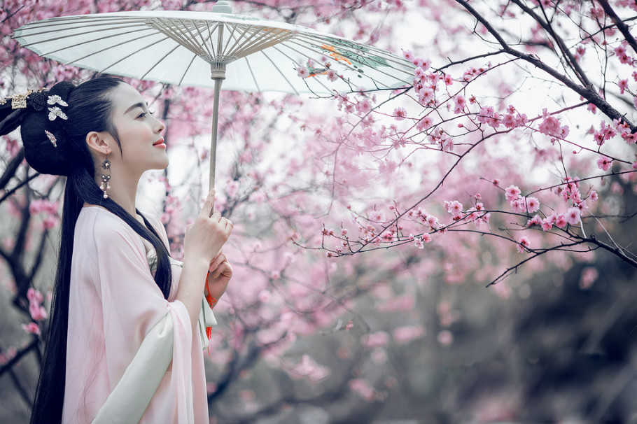 雪中梅花美女图图片