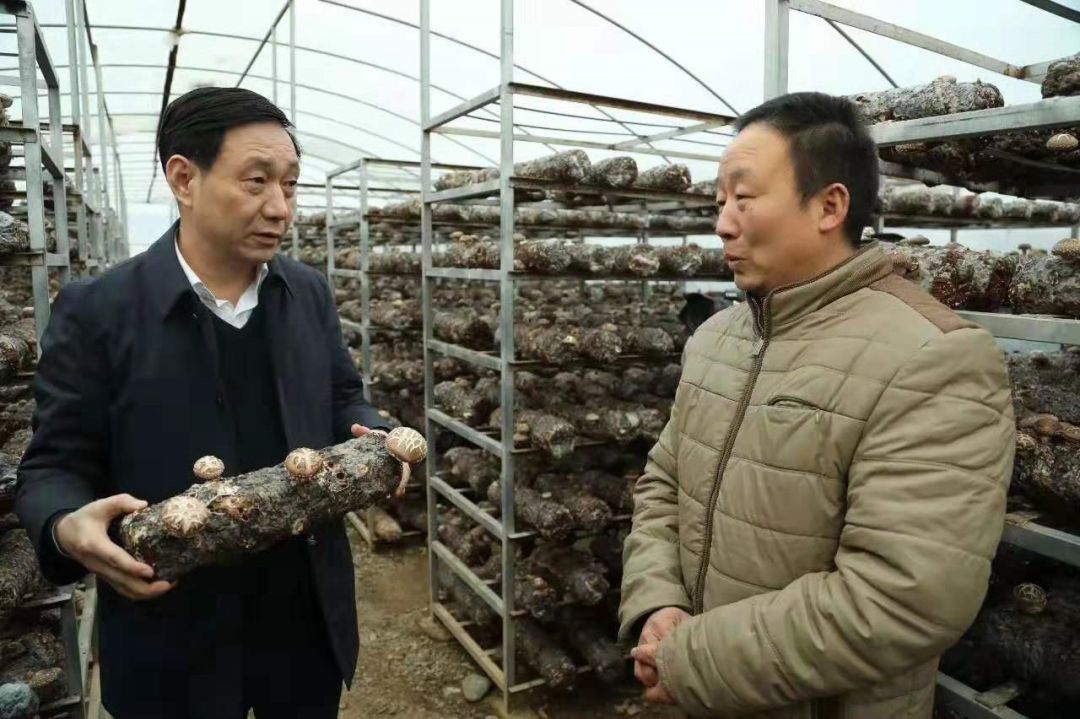 脱贫路上的县委书记用行动攻克脱贫硬骨头访商南县委书记许水兆
