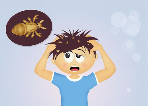 创道理孩子头皮痒头上有白点原来是长了这个东西