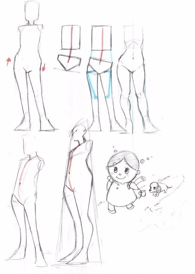 绘画教程人体身躯与四肢的形变画法人体体块教学
