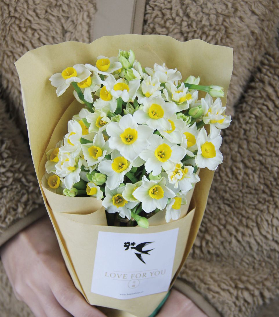 在中国,水仙花语含有:万事如意,吉祥,美好,纯洁,高尚,纯洁的爱情等