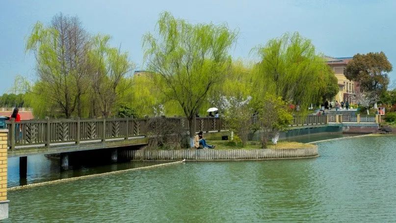 九曲橋九曲橋,曲折蜿蜒,親近湖心橋面為花崗岩石板砌成,每一塊石板上