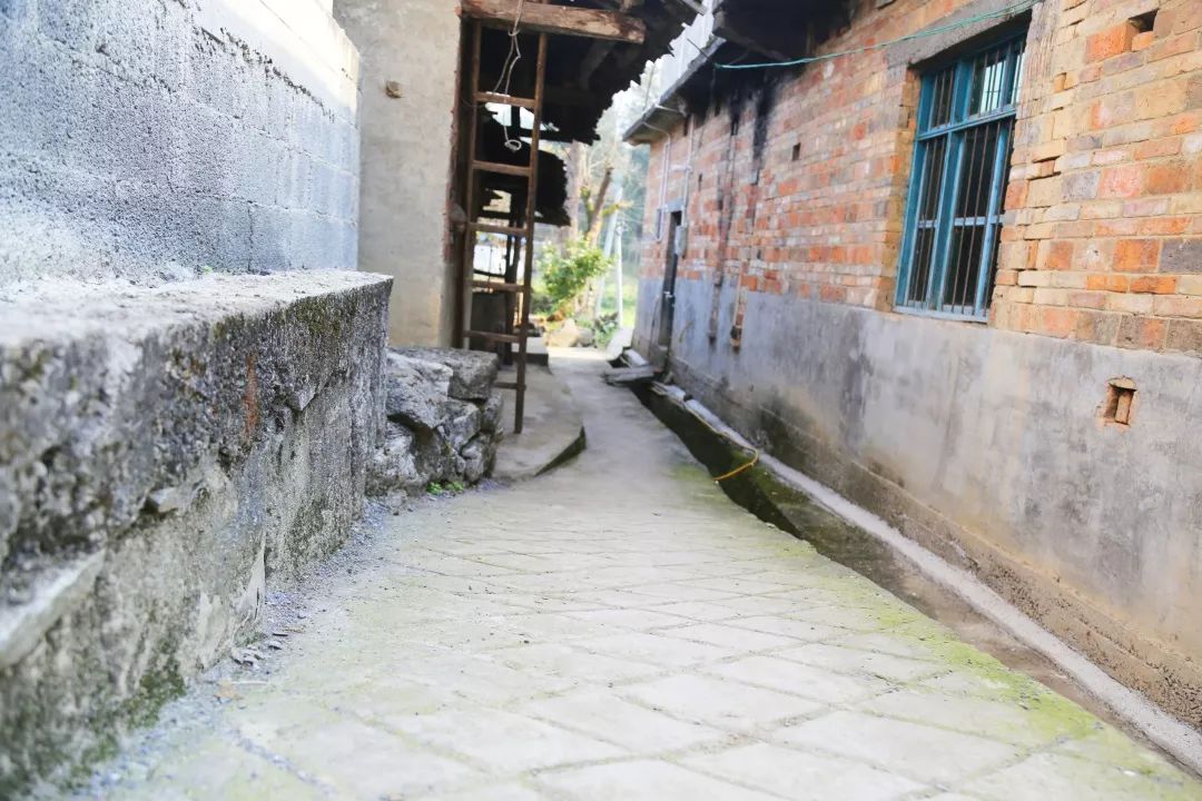 夹石镇:一幅干净整洁,生态宜居的乡村美图正徐徐被打开